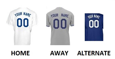 (image for) LOS ANGELES D Pro Baseball Number Kit